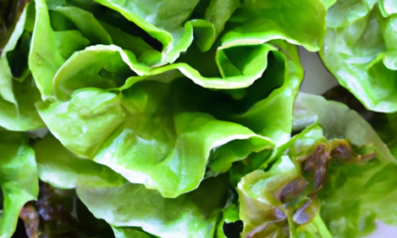 Chicken Salad Lettuce Wraps