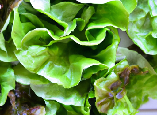 Chicken Salad Lettuce Wraps