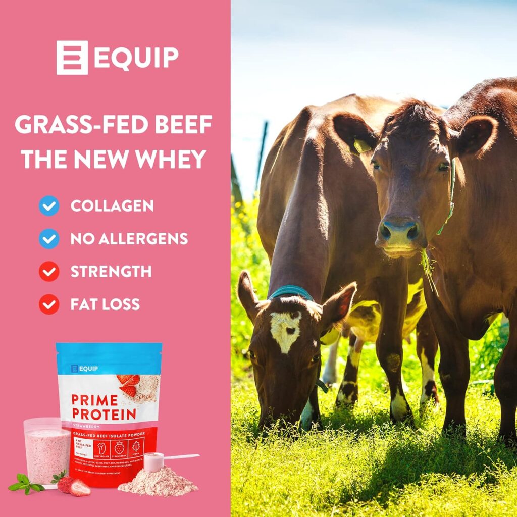 Equip Foods Prime Protein - Grass-Fed Beef Protein Powder Isolate -Paleo and Keto Friendly, Gluten Free Carnivore Protein Powder - Chocolate, 1.7 Pounds - Helps Build and Repair Tissue