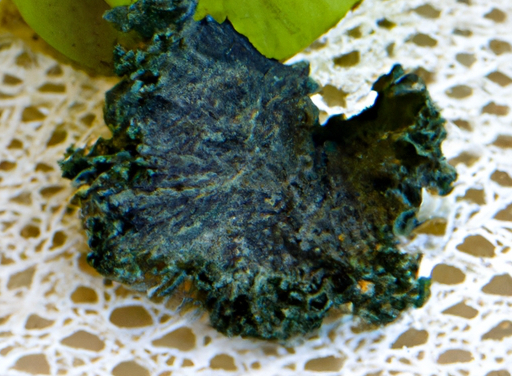 Kale Chips
